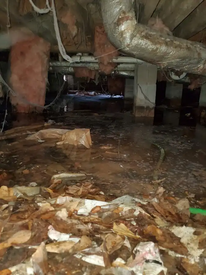 Crawl space flood assessment for Leak Detection & Repair in Hilliard